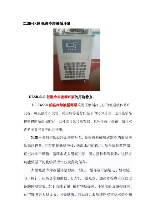 DLSB-520低温冷却液循环泵[教材]