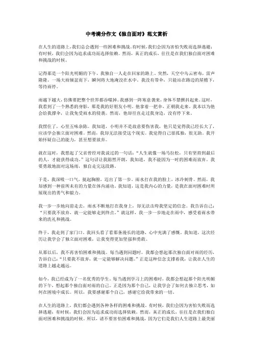 中考满分作文《独自面对》范文赏析