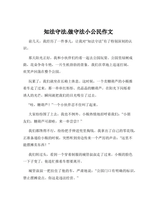 知法守法,做守法小公民作文