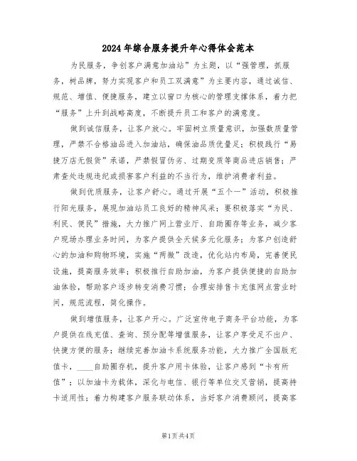 2024年综合服务提升年心得体会范本(2篇)