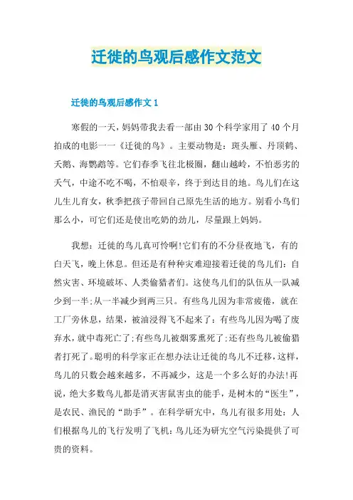迁徙的鸟观后感作文范文