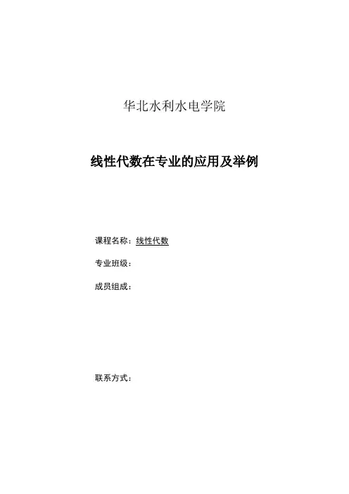线性代数在专业的应用及举例论文范文