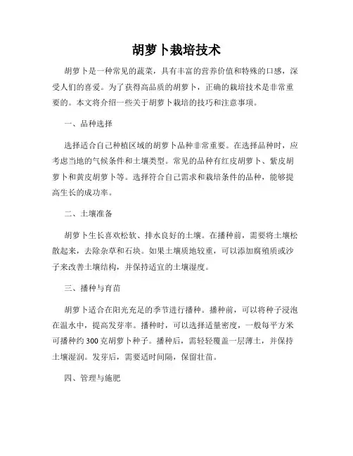 胡萝卜栽培技术
