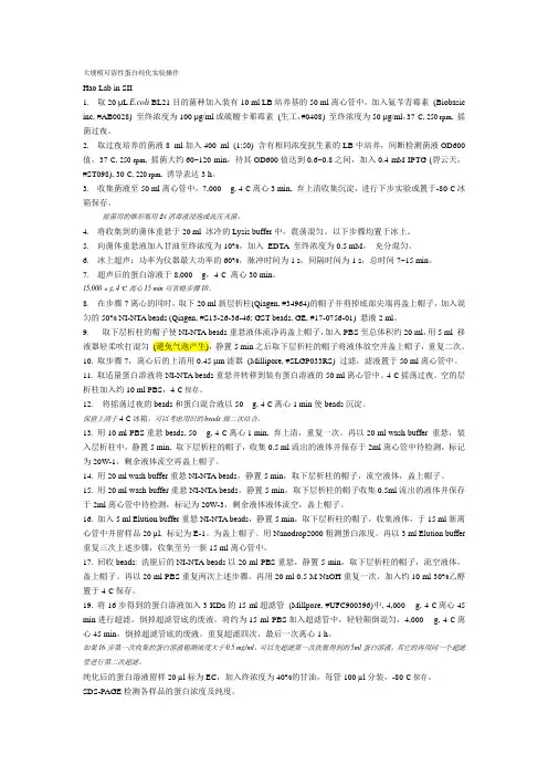 大规模可溶性蛋白原核表达与纯化步骤