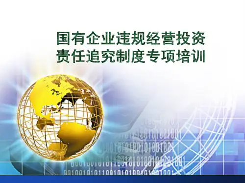 国有企业违规经营投资责任追究制度专项培训 PPT