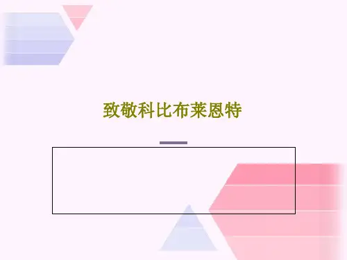 致敬科比布莱恩特PPT共32页