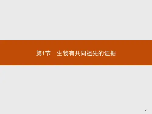 高中生物人教(2019)新教材必修2课件：第6章第1节 生物有共同祖先的证据