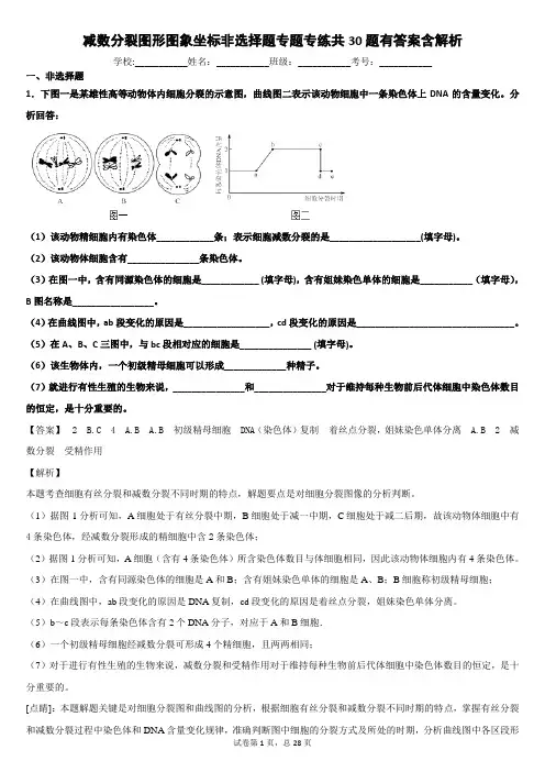 减数分裂图形图象坐标非选择题专题专练共30题有答案含解析