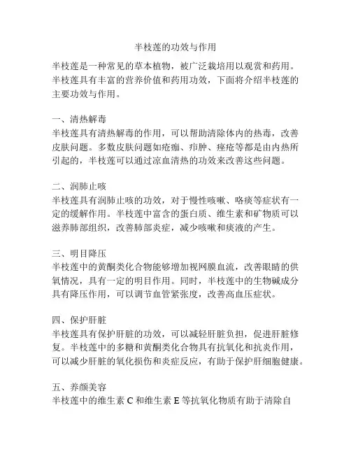 半枝莲的功效与作用