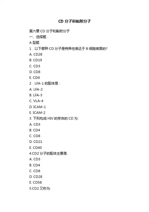CD分子和黏附分子