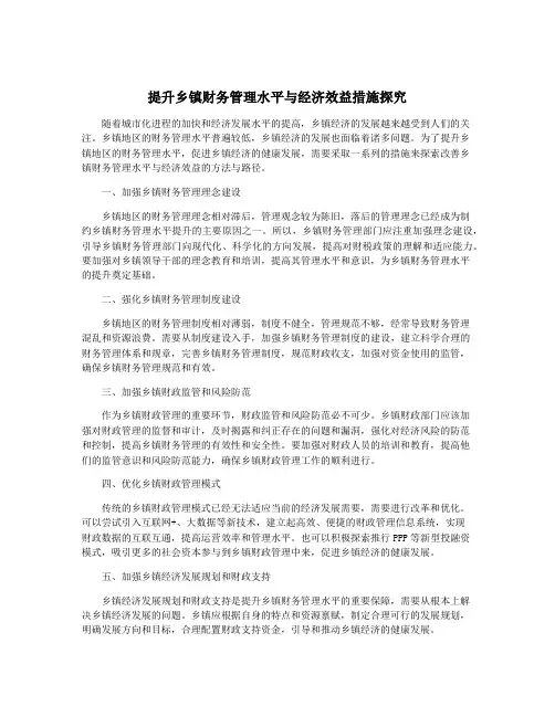 提升乡镇财务管理水平与经济效益措施探究
