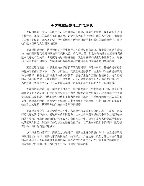 小学班主任德育工作之我见