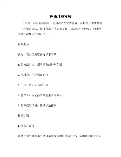 扦插月季方法