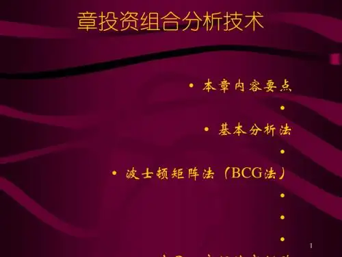 投资组合分析技术(ppt50张)