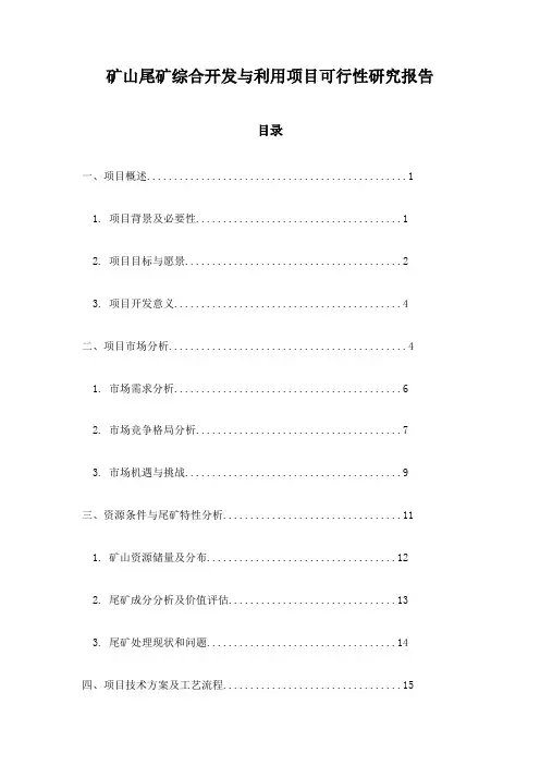 矿山尾矿综合开发与利用项目可行性研究报告