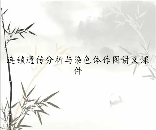 连锁遗传分析与染色体作图讲义课件