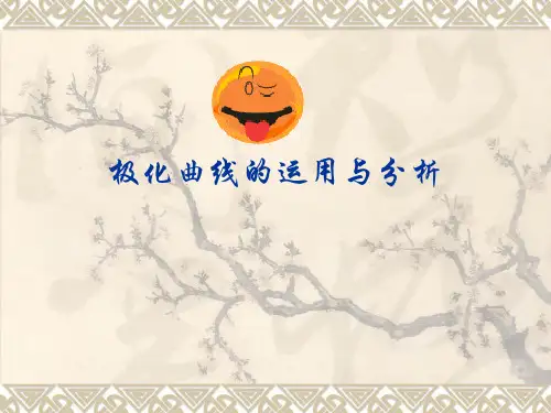 极化曲线的运用与分析 共21页PPT资料
