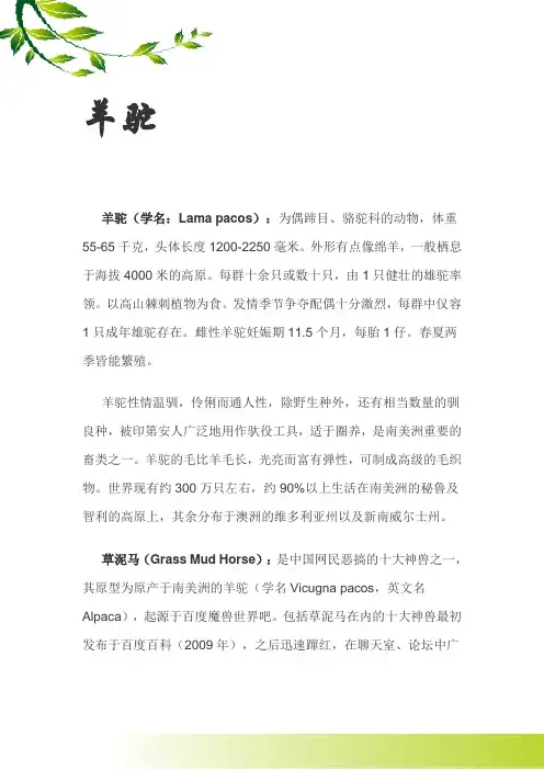 羊驼