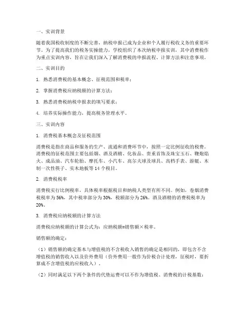 纳税申报实训报告消费税