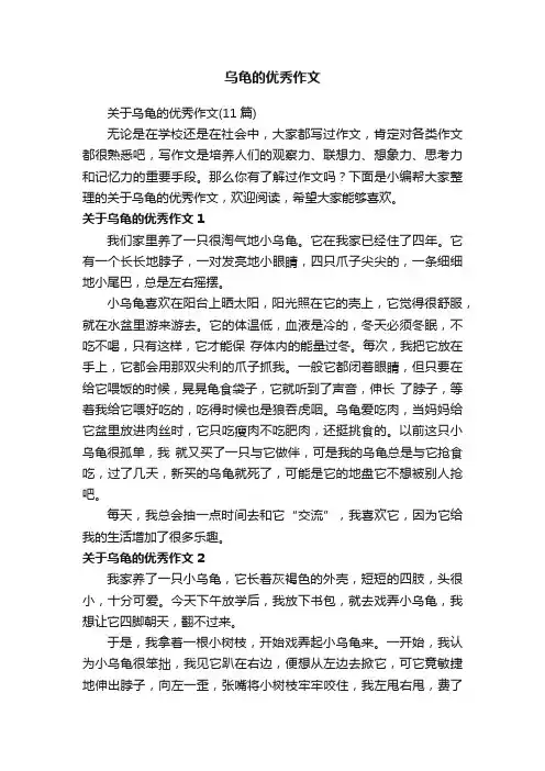 关于乌龟的优秀作文（11篇）