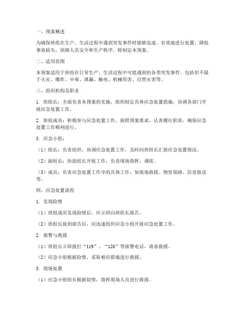 班组应急处置预案