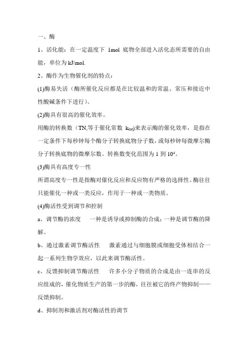 生物化学之酶篇