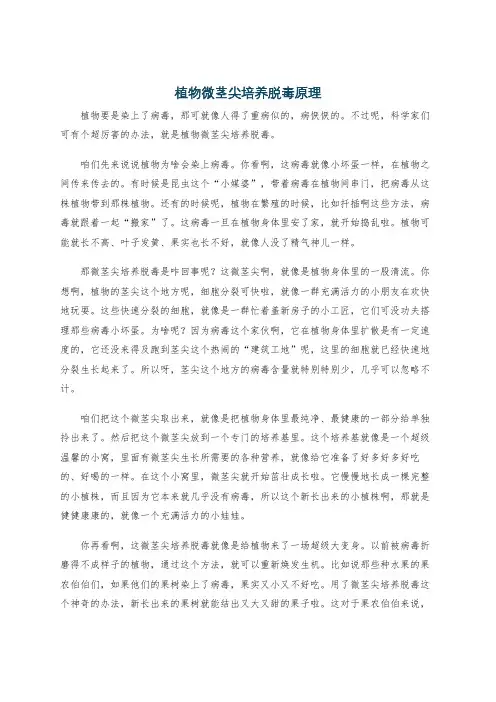 植物微茎尖培养脱毒原理