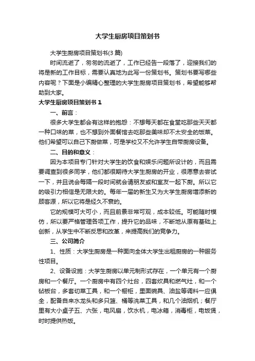 大学生厨房项目策划书（3篇）
