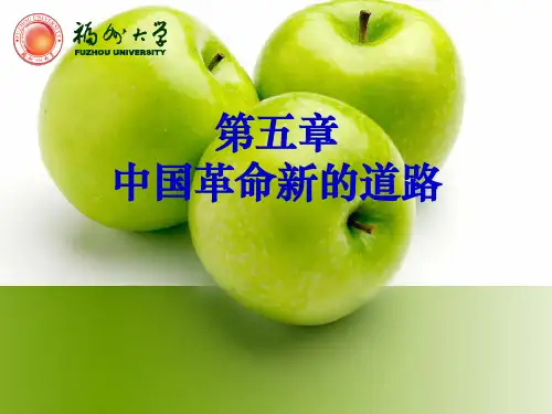 第五章  中国革命的新道路