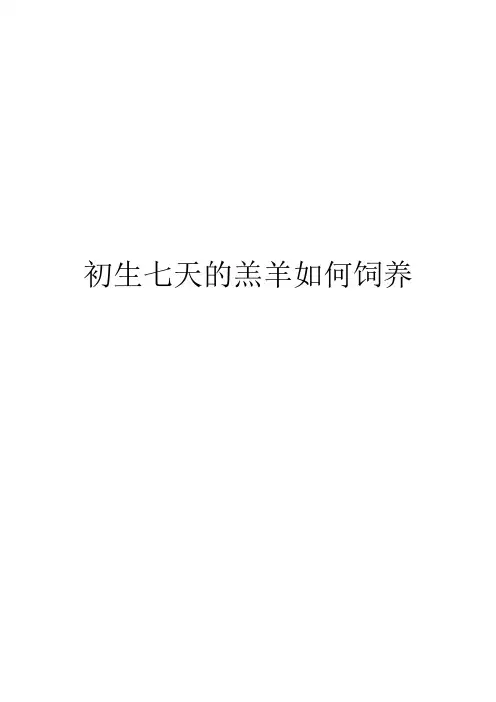 初生七天的羔羊如何饲养