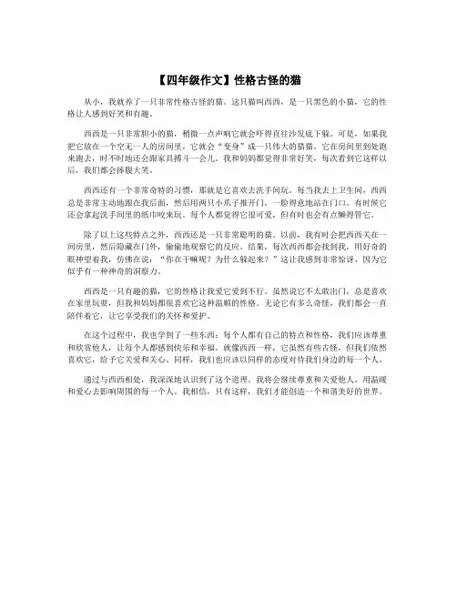 【四年级作文】性格古怪的猫