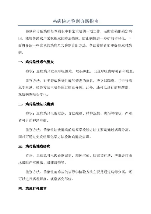 鸡病快速鉴别诊断指南