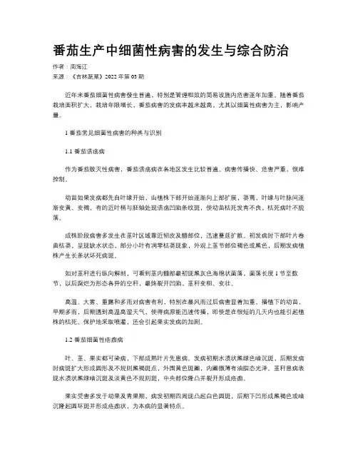 番茄生产中细菌性病害的发生与综合防治