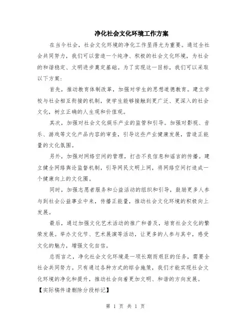 净化社会文化环境工作方案