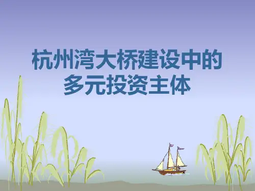 杭州湾跨海大桥建设中的多元投资主