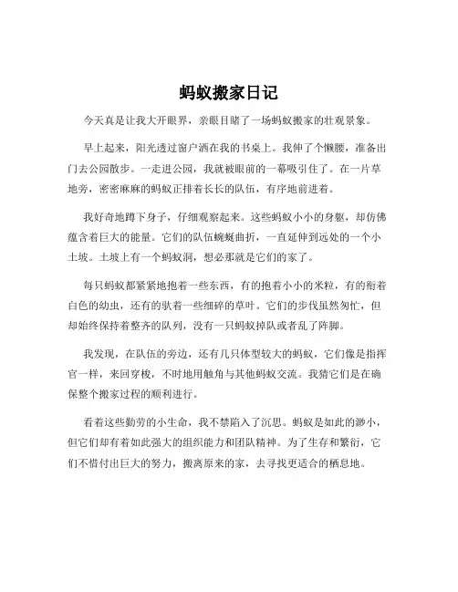 蚂蚁搬家日记
