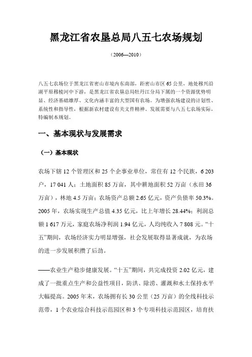 黑龙江省农垦总局八五七农场规划