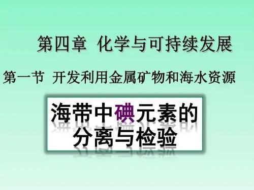 实验2-3从海带中提取碘