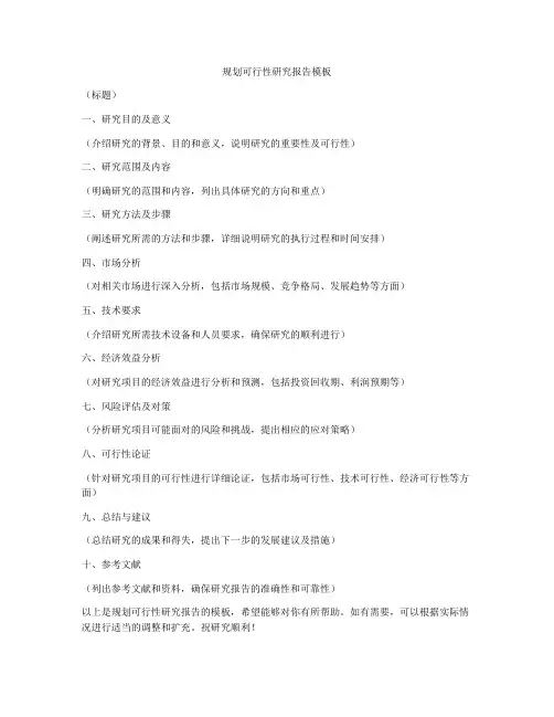 规划可行性研究报告模板