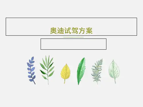 奥迪试驾方案共27页