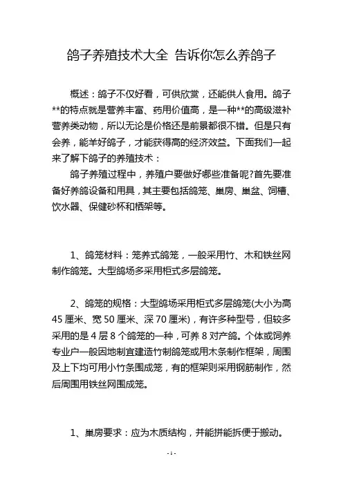 鸽子养殖技术大全 告诉你怎么养鸽子
