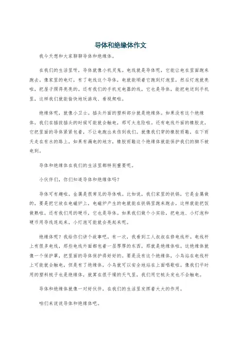 导体和绝缘体作文