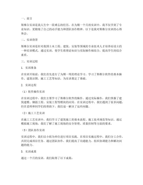 斯维尔实训报告心得体会