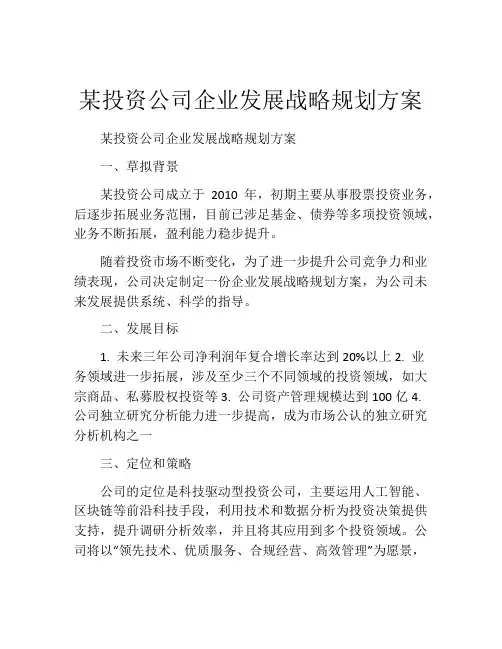 某投资公司企业发展战略规划方案