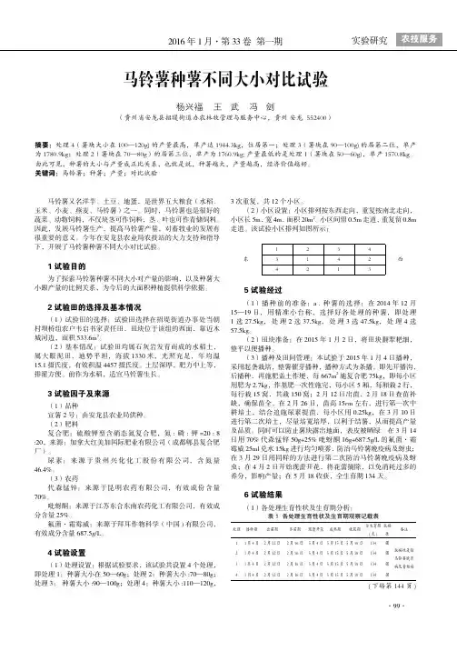 马铃薯种薯不同大小对比试验