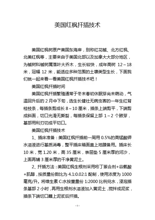 美国红枫扦插技术