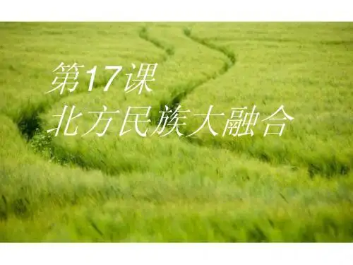 华师大版七上第17课《北方民族大融合》ppt]