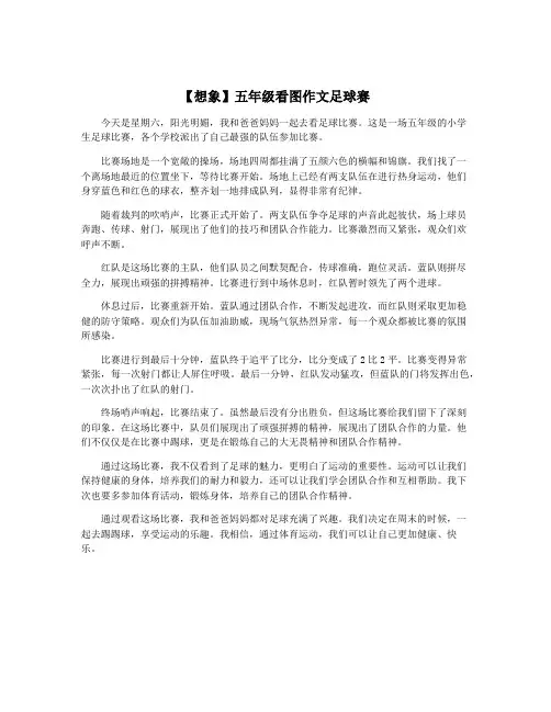 【想象】五年级看图作文足球赛