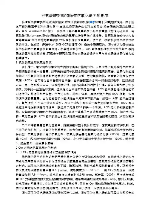 谷氨酰胺对动物肠道抗氧化能力的影响