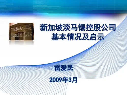 新加坡淡马锡介绍